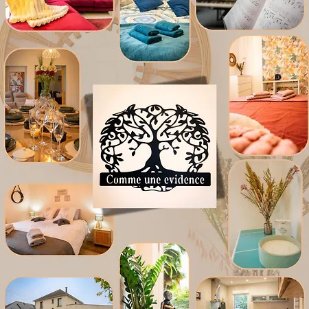 Comme Evidence Ombree d'Anjou