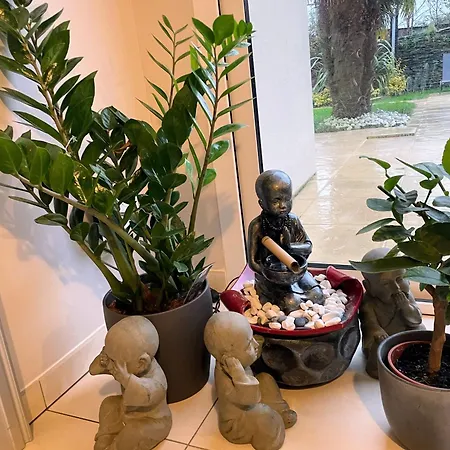 Comme Evidence Ombree d'Anjou