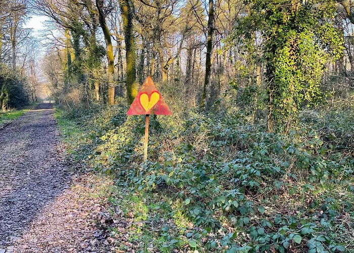 Comme Evidence Ombree d'Anjou